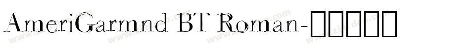 AmeriGarmnd BT Roman字体转换